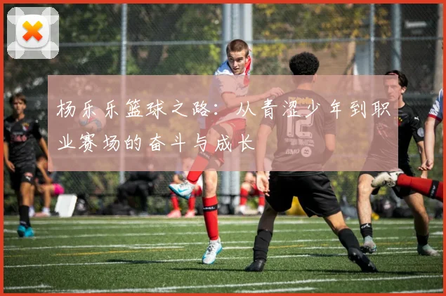 杨乐乐篮球之路：从青涩少年到职业赛场的奋斗与成长