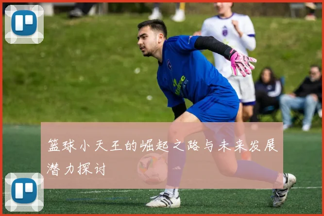 篮球小天王的崛起之路与未来发展潜力探讨