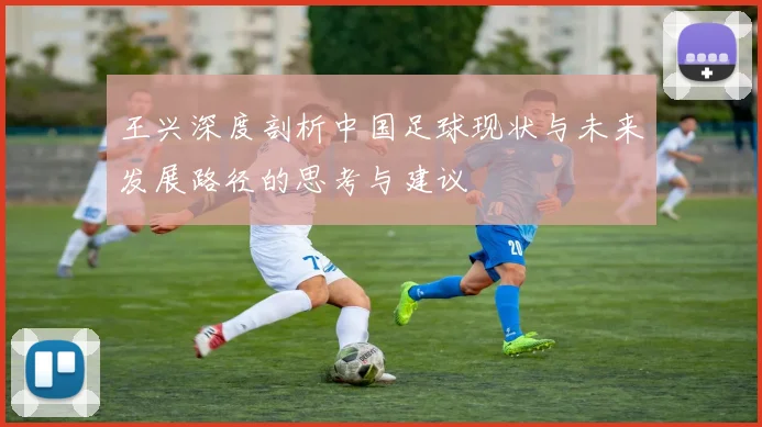 王兴深度剖析中国足球现状与未来发展路径的思考与建议