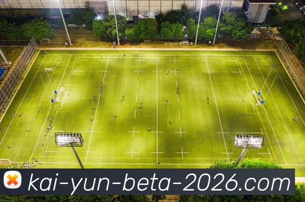 KAIYUN开云体育服务体系